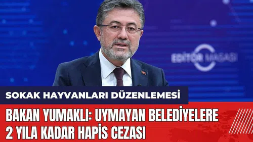 Sokak hayvanları düzenlemesi: Bakan Yumaklı: Uymayan belediyelere 2 yıla kadar hapis cezası