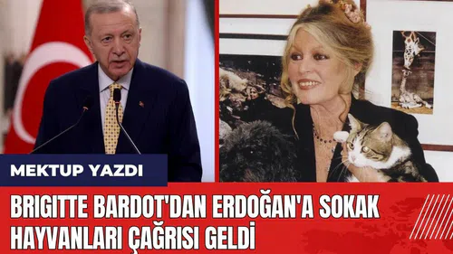Brigitte Bardot'dan Erdoğan'a sokak hayvanları çağrısı geldi