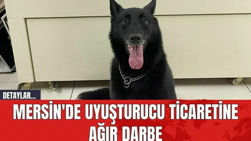 Mersin'de Uyuşturucu Ticaretine Ağır Darbe