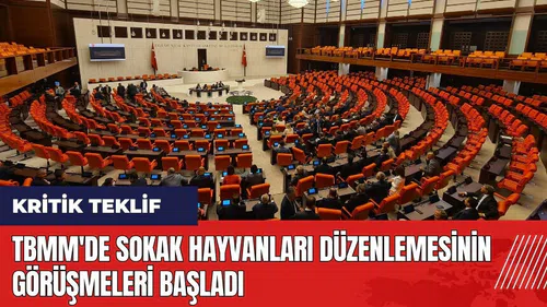 TBMM'de sokak hayvanları düzenlemesinin görüşmeleri başladı