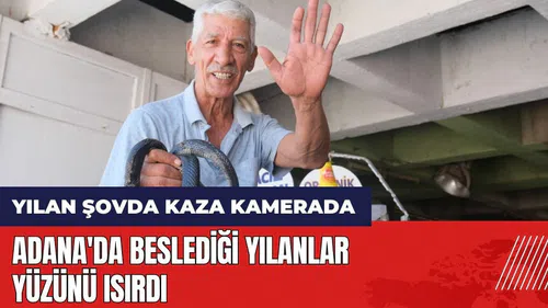Adana'da beslediği yılanlar yüzünü ısırdı