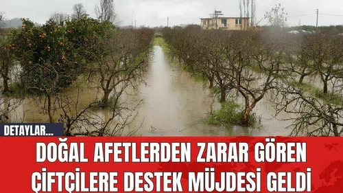 Doğal Afetlerden Zarar Gören Çiftçilere Destek Müjdesi Geldi