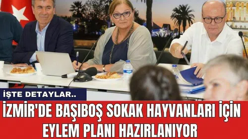 İzmir'de başıboş sokak hayvanları için eylem planı hazırlanıyor
