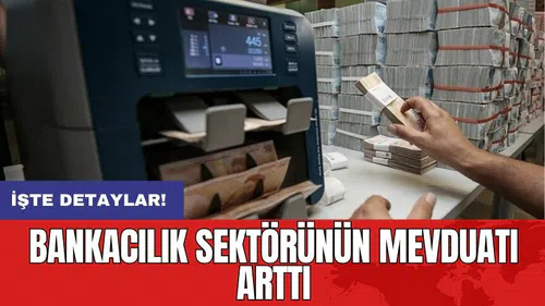 Bankacılık sektörünün mevduatı arttı