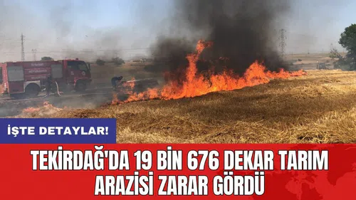 Tekirdağ'da 19 bin 676 dekar tarım arazisi zarar gördü