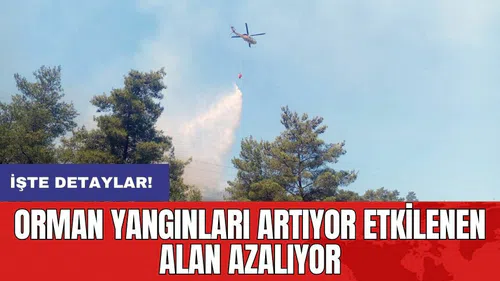 Orman yangınları artıyor etkilenen alan azalıyor