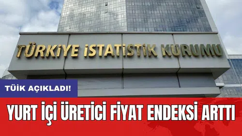 TÜİK açıkladı! Yurt İçi Üretici Fiyat Endeksi arttı