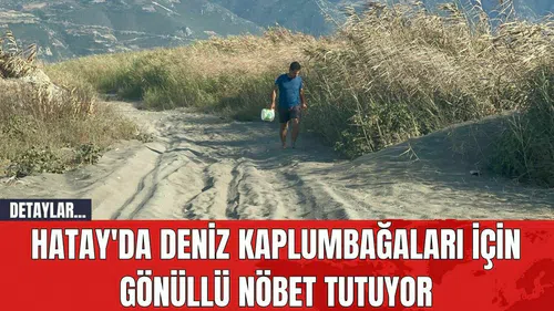 Hatay'da Deniz Kaplumbağaları İçin Gönüllü Nöbet Tutuyor