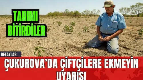 Çukurova’da Çiftçilere Ekmeyin Uyarısı