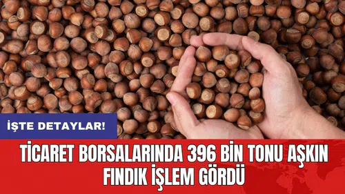 Ticaret borsalarında 396 bin tonu aşkın fındık işlem gördü