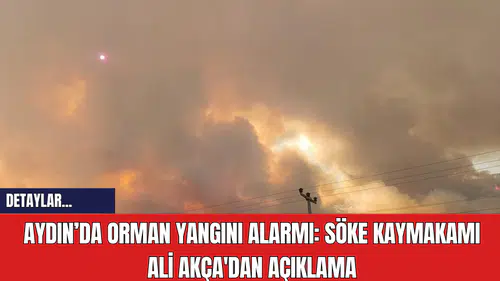 Aydın’da Orman Yangını Alarmı: Söke Kaymakamı Ali Akça'dan Açıklama