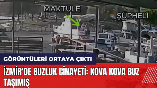 İzmir'de buzluk cin*yeti: Kova kova buz taşımış