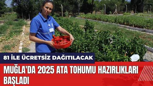 Muğla'da 2025 ata tohumu hazırlıkları başladı! 81 ile ücretsiz dağıtılacak