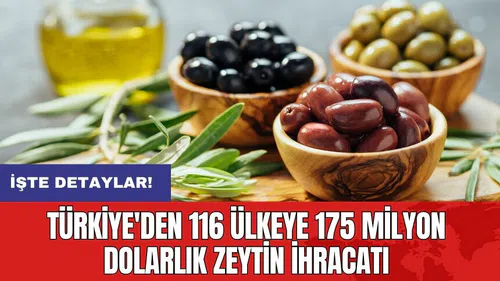 Türkiye'den 116 ülkeye 175 milyon dolarlık zeytin ihracatı