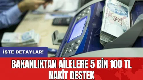 Bakanlıktan ailelere 5 bin 100 TL nakit destek