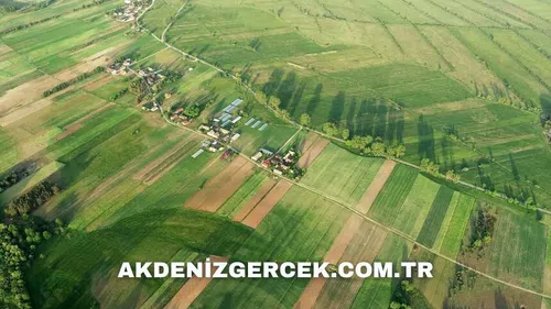 Niğde Bor'da mahkemeden satılık 6.424 m² arsa