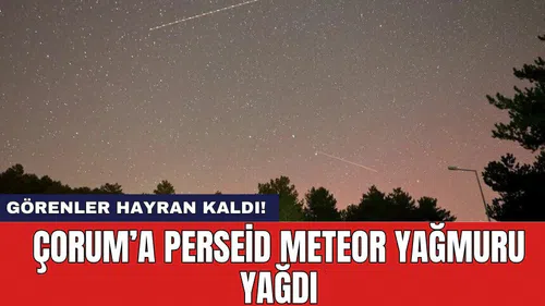 Görenler hayran kaldı! Çorum'a Perseid meteor yağmuru yağdı