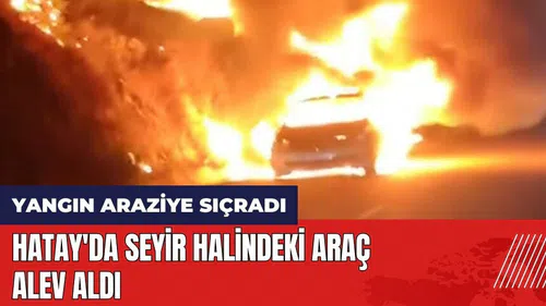 Hatay'da seyir halindeki araç alev aldı! Yangın araziye sıçradı