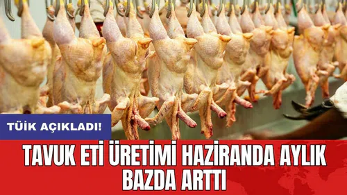 Tavuk eti üretimi haziranda aylık bazda arttı