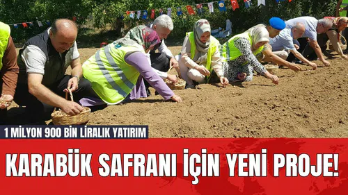 Karabük Safranı İçin Yeni Proje! 1 Milyon 900 Bin Liralık Yatırım