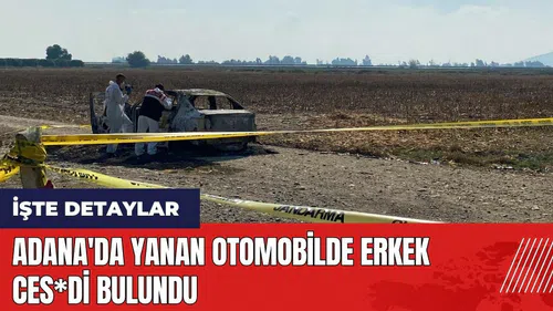 Adana'da yanan otomobilde erkek ces*di bulundu