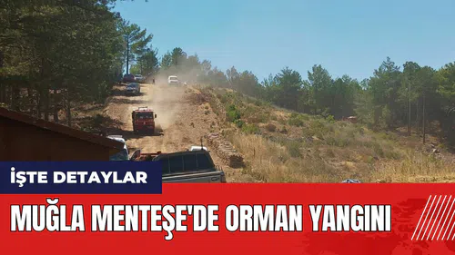 Muğla Menteşe'de orman yangını