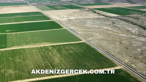 Kayseri Pınarbaşı'da mahkemeden satılık 14.367 m² tarla