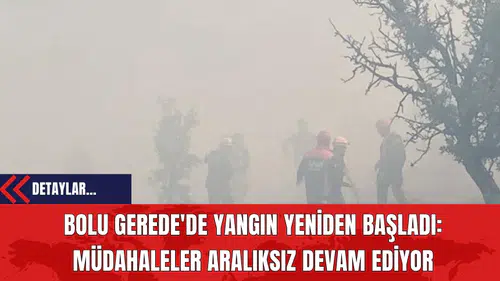Bolu Gerede'de Yangın Yeniden Başladı: Müdahaleler Aralıksız Devam Ediyor