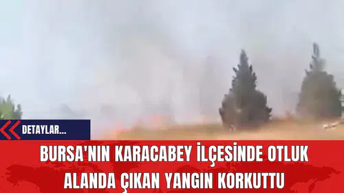 Bursa'nın Karacabey İlçesinde Otluk Alanda Çıkan Yangın Korkuttu