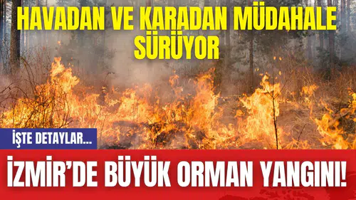 İzmir’de Büyük Orman Yangını!
