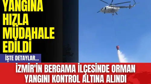 İzmir'in Bergama İlçesinde Orman Yangını Kontrol Altına Alındı