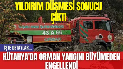 Kütahya'da Orman Yangını Büyümeden Engellendi