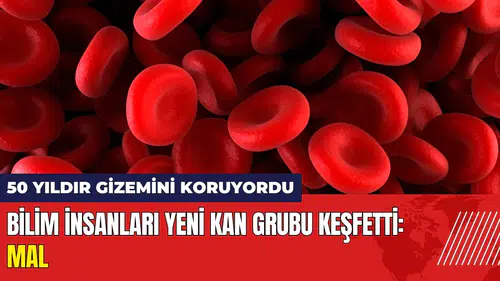 Bilim insanları yeni kan grubu keşfetti! MAL kan grubu nedir?