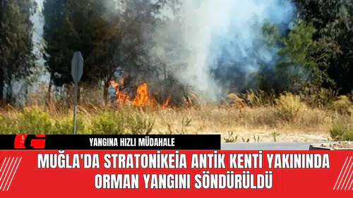 Muğla'da Stratonikeia Antik Kenti Yakınında Orman Yangını Söndürüldü