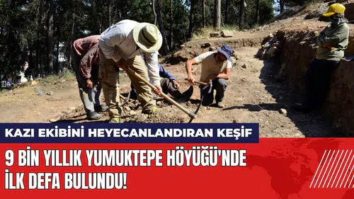 9 bin yıllık Yumuktepe Höyüğü'nde ilk defa bulundu!