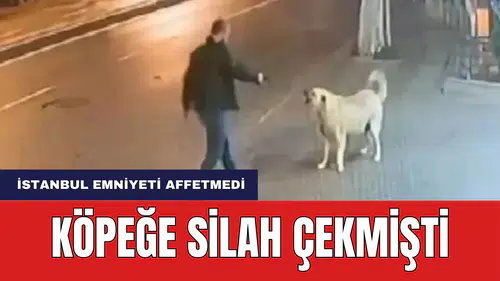 Köpeğe Silah Çekmişti Emniyet Affetmedi