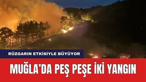 Muğla'da Peş Peşe İki Orman Yangını! Rüzgar Etkisini Sürdürüyor