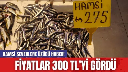 Hamsi Severlere Üzücü Haber! Fiyatlar 300 TL’yi Gördü