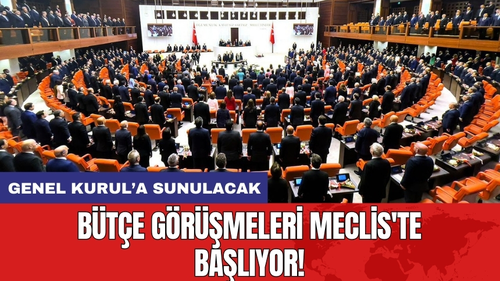 Bütçe Görüşmeleri Meclis'te Başlıyor!