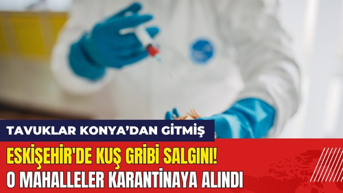 Eskişehir'de Kuş Gribi Salgını! O Mahalleler Karantinaya Alındı