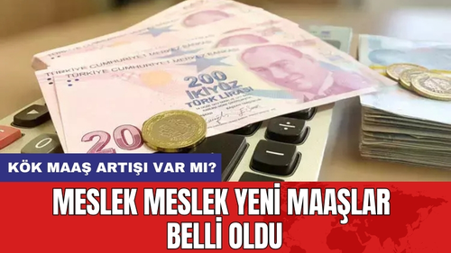 Meslek Meslek Yeni Maaşlar Belli Oldu