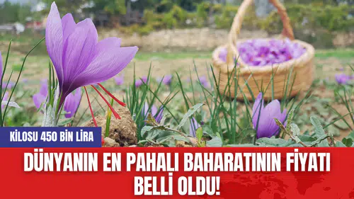 Dünyanın En Pahalı Baharatının Fiyatı Belli Oldu! Kilosu 450 Bin Lira