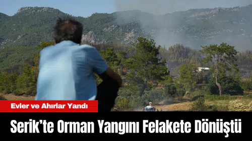 Serik’te Orman Yangını Felakete Dönüştü: Evler ve Ahırlar Yandı