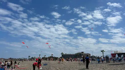 Hatay’da Ay Yıldızlı Uçurtmalar Gökyüzünde Görsel Şölen Yarattı
