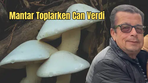 Burdur’da Acı Haber: Mantar Toplamaya Giden Adam Ölü Bulundu!