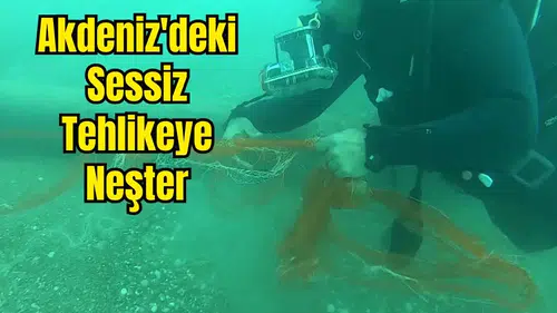 Hayalet Ağlar Temizlendi, 1.5 Milyon Canlı Kurtuldu