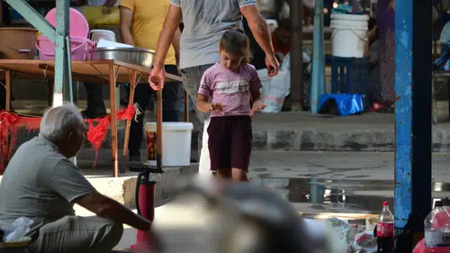 Kurban İbadetinde Doğru Bilinen Yanlışlar