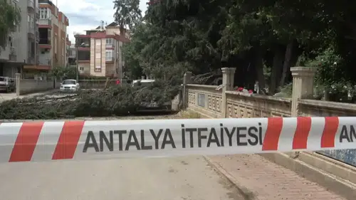 Muratpaşa’da Şiddetli Rüzgar Mezarlıktaki Ağacı Devirdi