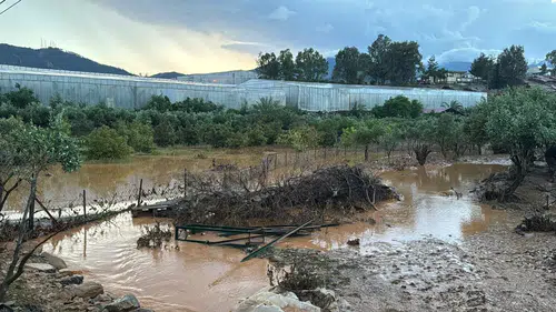 Mersin’i Sel Vurdu, Çiftçi Çaresiz Kaldı! "Kendi İmkanımızla Direniyoruz"