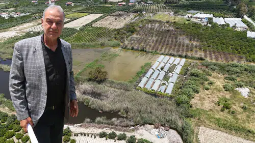 Hatay'da Sular Çekildi: Tarım Arazilerindeki Ağır Bilanço Ortaya Çıktı